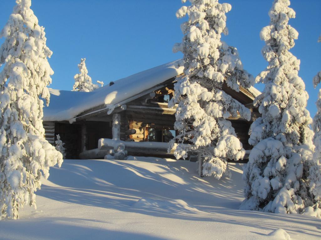 Rukakaiku Cottages المظهر الخارجي الصورة